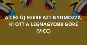 A cég új egere azt nyomozza, ki ott a legnagyobb góré (Vicc)