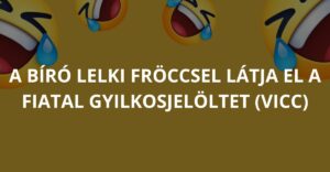 A bíró lelki fröccsel látja el a fiatal gyilkosjelöltet (Vicc)