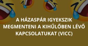 A házaspár igyekszik megmenteni a kihűlőben lévő kapcsolatukat (Vicc)