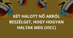 Két halott nő arról beszélget, hogy hogyan haltak meg (Vicc)