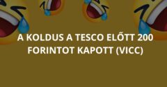 A koldus a Tesco előtt 200 forintot kapott (Vicc)