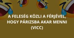 A feleség közli a férjével, hogy Párizsba akar menni (Vicc)