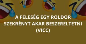 A feleség egy Roldor szekrényt akar beszereltetni (Vicc)