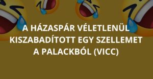 A házaspár véletlenül kiszabadított egy szellemet a palackból (Vicc)