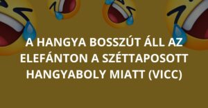 A hangya bosszút áll az elefánton a széttaposott hangyaboly miatt. (Vicc)