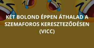 Két bolond éppen áthalad a szemaforos kereszteződésen (Vicc)