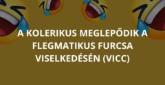 A kolerikus meglepődik a flegmatikus furcsa viselkedésén (Vicc)