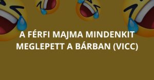 A férfi majma mindenkit meglepett a bárban (Vicc)