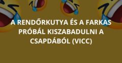 A rendőrkutya és a farkas próbál kiszabadulni a csapdából (Vicc)