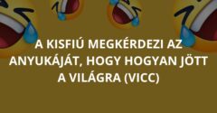 A kisfiú megkérdezi az anyukáját, hogy hogyan jött a világra (Vicc)