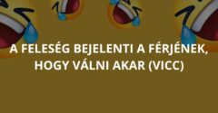 A feleség bejelenti a férjének, hogy válni akar (Vicc)