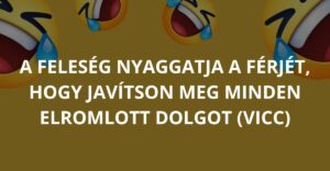 A feleség nyaggatja a férjét, hogy javítson meg minden elromlott dolgot (Vicc)