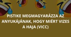 Pistike megmagyarázza az anyukájának, hogy miért vizes a haja (Vicc)