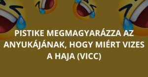 Pistike megmagyarázza az anyukájának, hogy miért vizes a haja (Vicc)