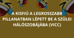 A kisfiú a legrosszabb pillanatban lépett be a szülei hálószobájába (Vicc)