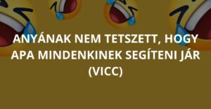 Anyának nem tetszett, hogy apa mindenkinek segíteni jár (Vicc)