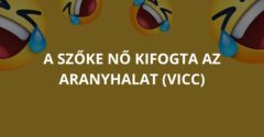 A szőke nő kifogta az aranyhalat (Vicc)