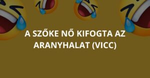 A szőke nő kifogta az aranyhalat (Vicc)