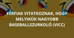 Férfiak vitatkoznak, hogy melyikük nagyobb baseballszurkoló (Vicc)