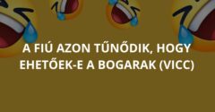 A fiú azon tűnődik, hogy ehetőek-e a bogarak (Vicc)