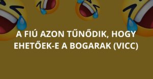 A fiú azon tűnődik, hogy ehetőek-e a bogarak (Vicc)