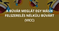 A búvár meglát egy másik felszerelés nélküli búvárt (Vicc)