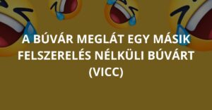 A búvár meglát egy másik felszerelés nélküli búvárt (Vicc)