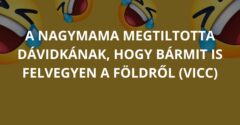 A nagymama megtiltotta Dávidkának, hogy bármit is felvegyen a földről (Vicc)