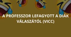 A professzor lefagyott a diák válaszától (Vicc)