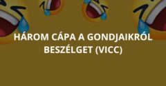 Három cápa a gondjaikról beszélget (Vicc)