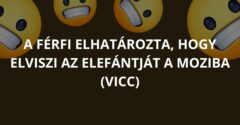 A férfi elhatározta, hogy elviszi az elefántját a moziba (Vicc)