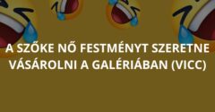 A szőke nő festményt szeretne vásárolni a galériában (Vicc)