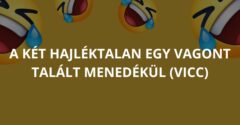 A két hajléktalan egy vagont talált menedékül (Vicc)