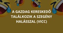 A gazdag kereskedő találkozik a szegény halásszal (Vicc)