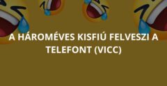 A hároméves kisfiú felveszi a telefont (Vicc)