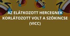 Az elátkozott hercegnek korlátozott volt a szókincse (Vicc)