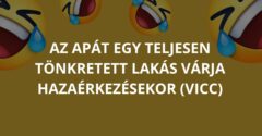 Az apát egy teljesen tönkretett lakás várja hazaérkezésekor (Vicc)