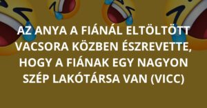 Az anya a fiánál eltöltött vacsora közben észrevette, hogy a fiának egy nagyon szép lakótársa van (vicc)