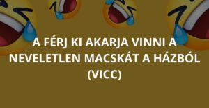 A férj ki akarja vinni a neveletlen macskát a házból (Vicc)