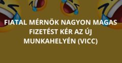 Fiatal mérnök nagyon magas fizetést kér az új munkahelyén (Vicc)