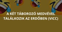 A két táborozó medvével találkozik az erdőben (Vicc)