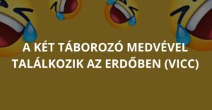 A két táborozó medvével találkozik az erdőben (Vicc)