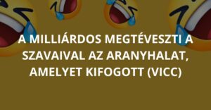 A milliárdos megtéveszti szavaival az aranyhalat, amelyet kifogott (Vicc)