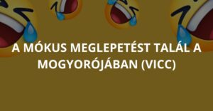 A mókus meglepetést talál a mogyorójában (Vicc)