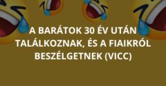 A barátok 30 év után találkoznak, és a fiaikról beszélgetnek (Vicc)