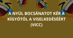 A nyúl bocsánatot kér a kígyótól a viselkedéséért (Vicc)