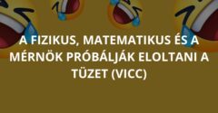 A fizikus, matematikus és a mérnök próbálják eloltani a tüzet (Vicc)