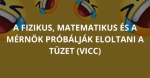 A fizikus, matematikus és a mérnök próbálják eloltani a tüzet (Vicc)