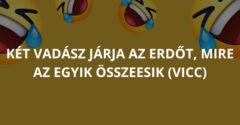 Két vadász járja az erdőt, mire az egyik összeesik (Vicc)