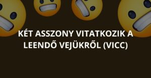 Két asszony vitatkozik a leendő vejükről (Vicc)